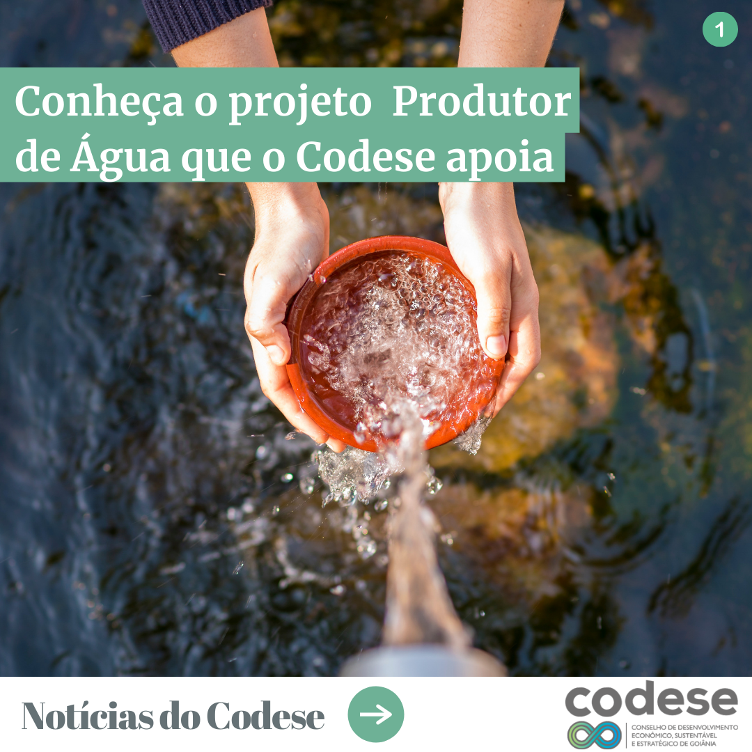 Conheça o projeto Produtor de Água que o Codese apoia